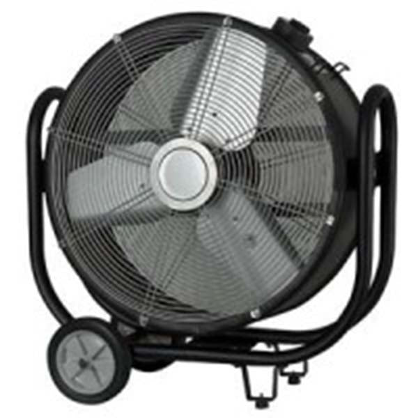 Large Fan
