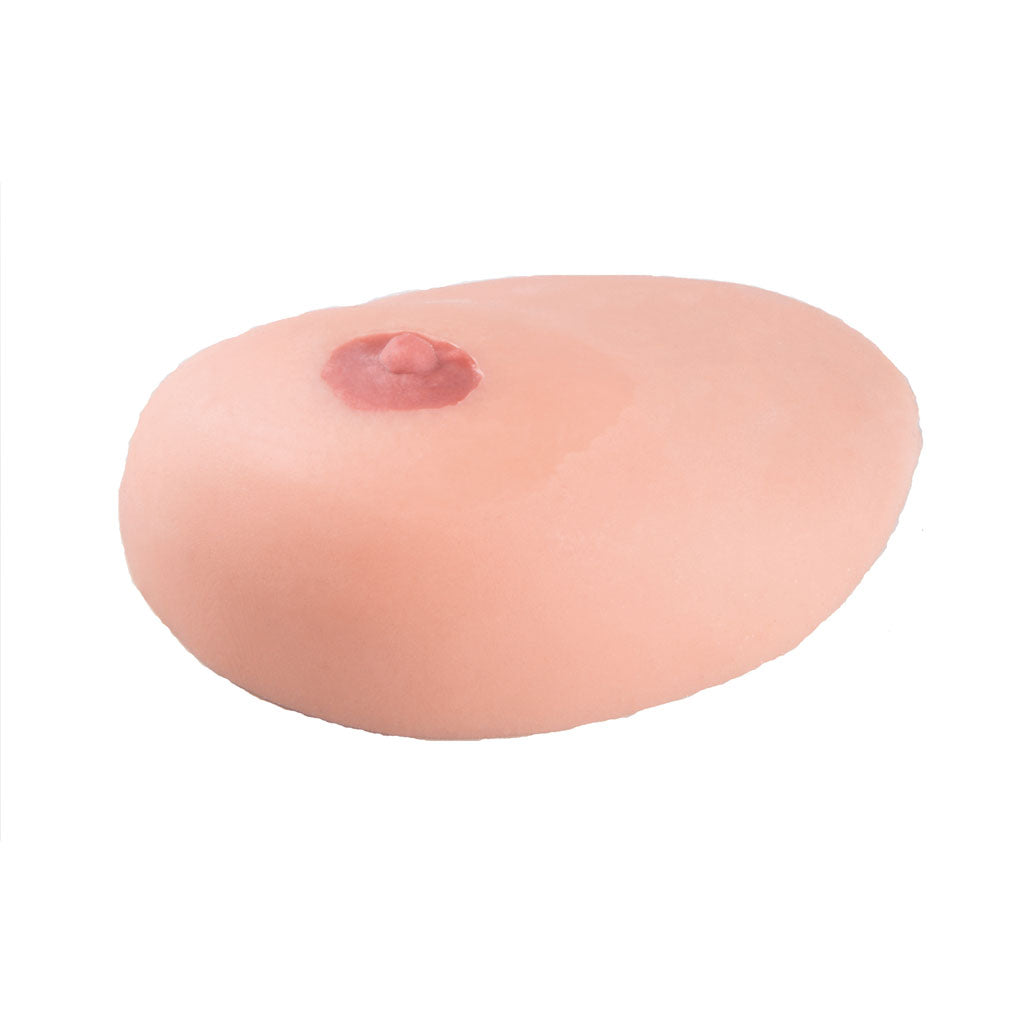 SONOtrain Breast with Cyst