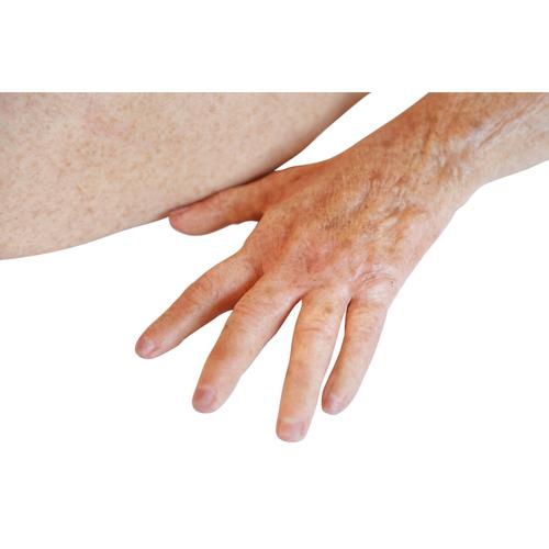 Lifecast Senior Pete