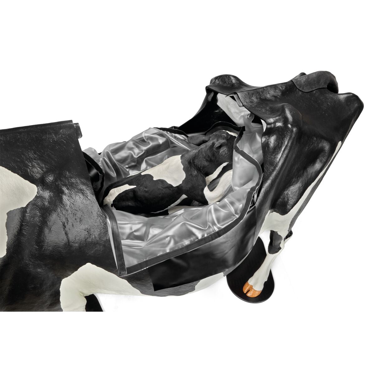 Holstein Dystocia Simulator - Fødselstræningsmodel