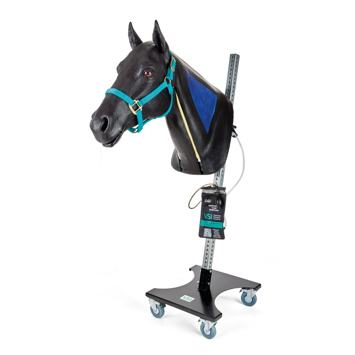 Heste Hals Venepunktur og Intramuskulær Injektion med Stativ