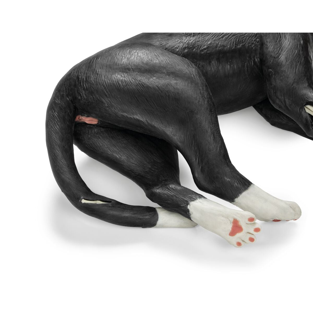 Katte Træningssimulator