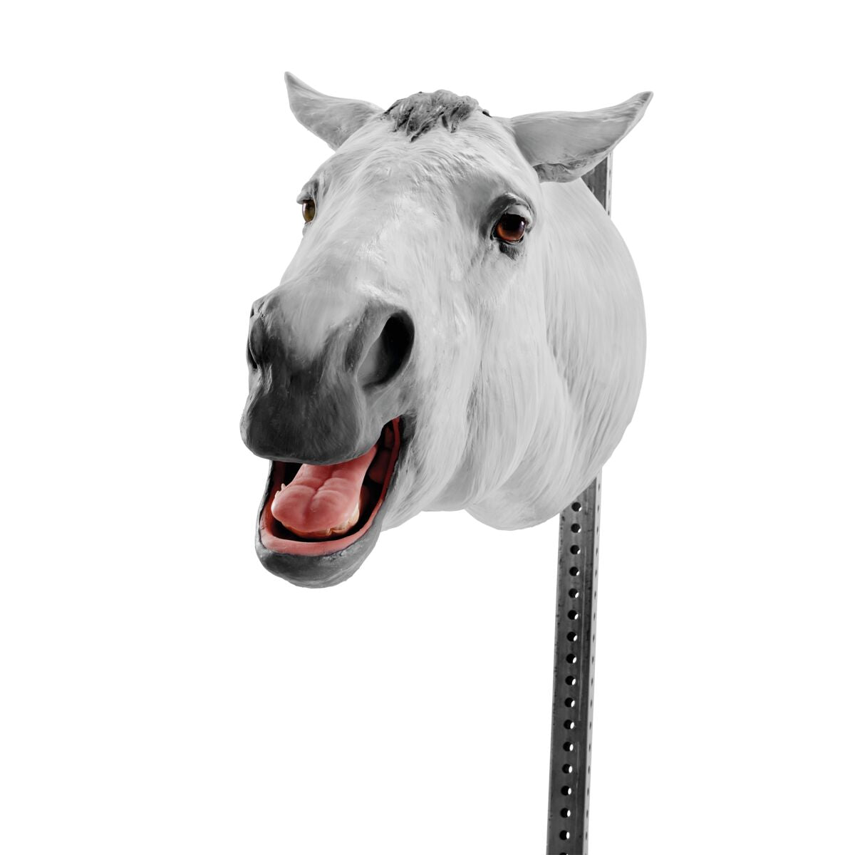 Hest til Tandraspning med Rullestativ