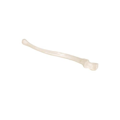 Model af albueben (ulna) – billede 8