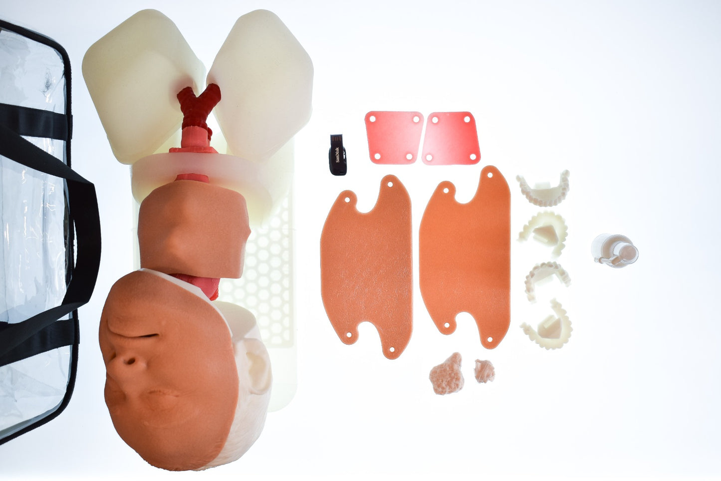 Airway Management Task Trainer