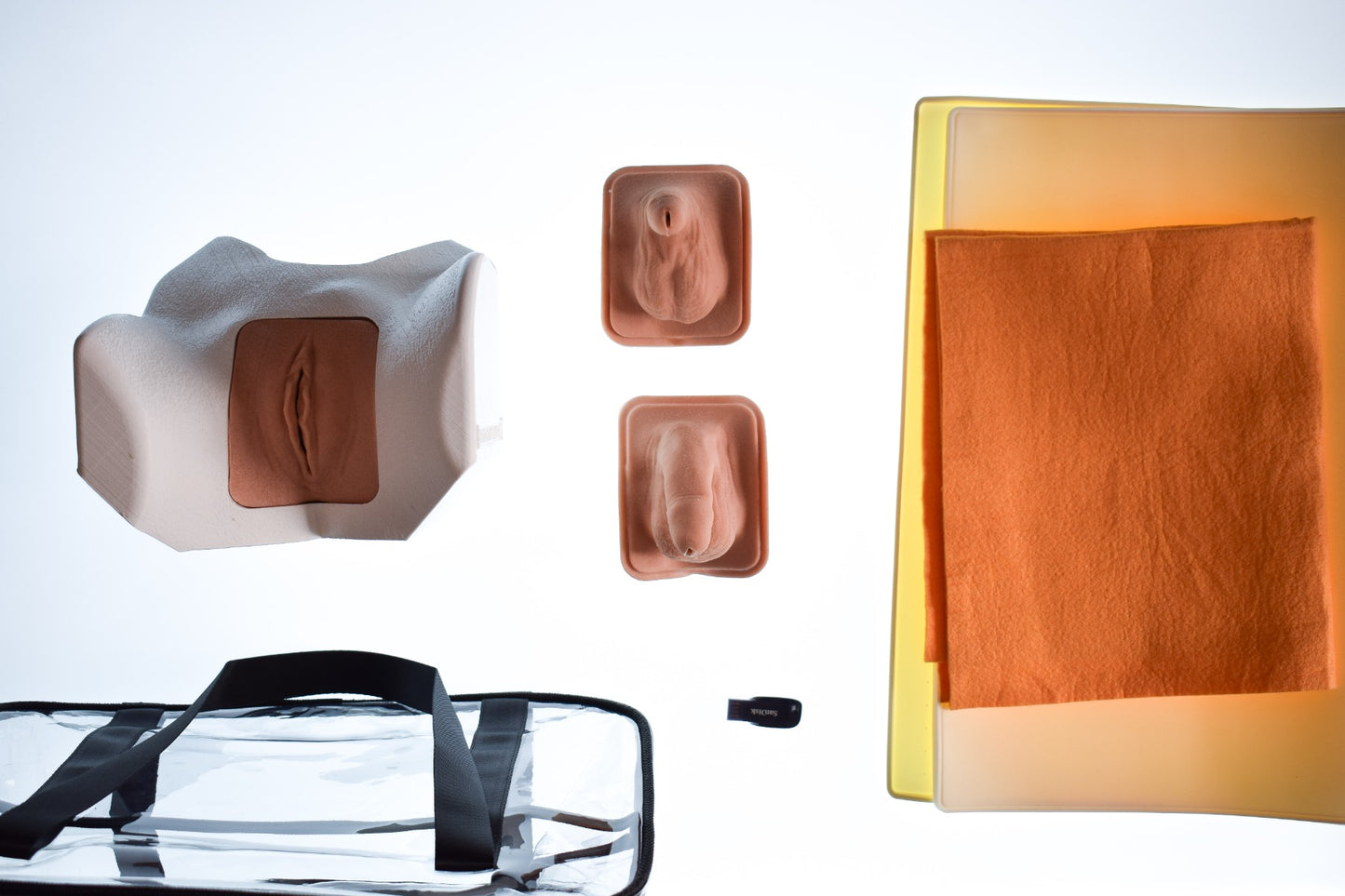 Kateteriseringstræner - Decent simulator