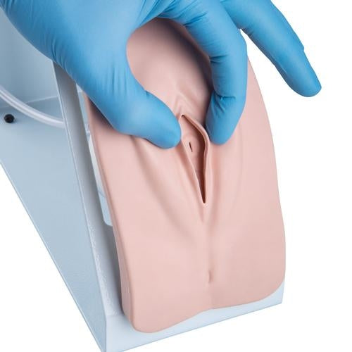 Catheter Simulation Set Basic