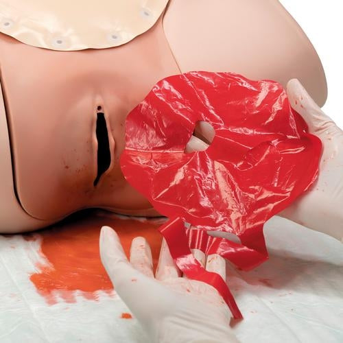 Postpartum Bleeding Trainer