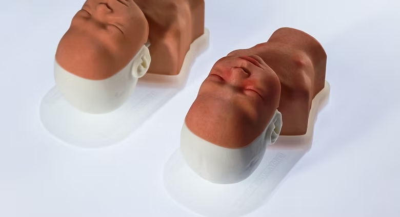 Airway Management Trainer, Newborn