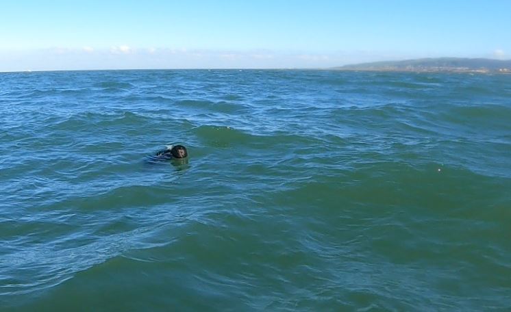 Avanceret vandredningsdukke - Småbørn