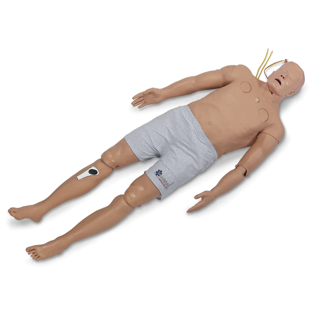Pre-Hospital Trauma Life Support Full Body Trainer