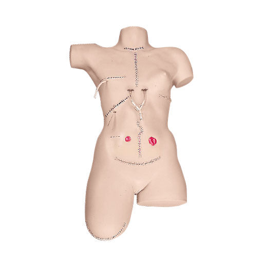 Surgical Sally Dressing Simulator