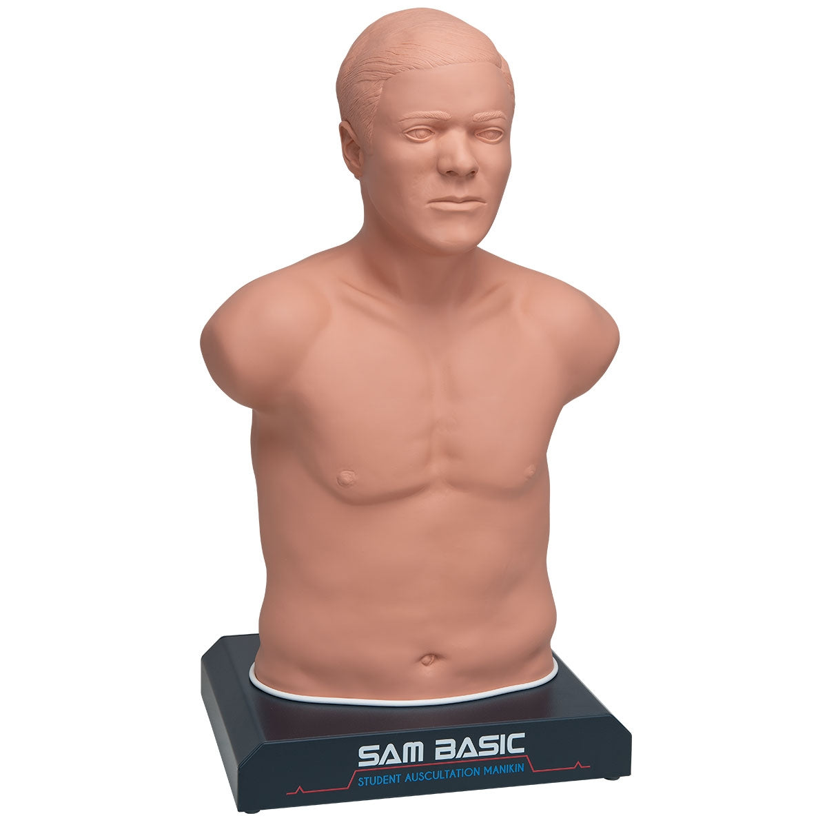 SAM Basic - Student Auskultation Manikin