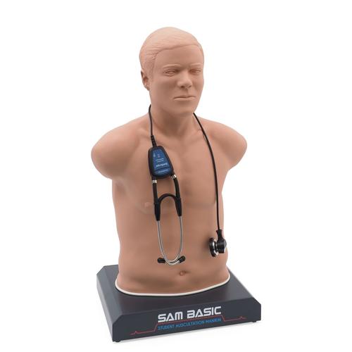 SAM Basic - Student Auskultation Manikin
