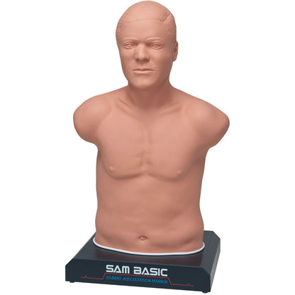 SAM Basic - Student Auskultation Manikin