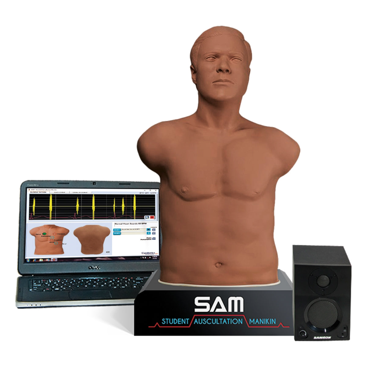 SAM 3G - Student Auskultation Manikin 3. Generation