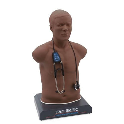SAM Basic - Student Auskultation Manikin