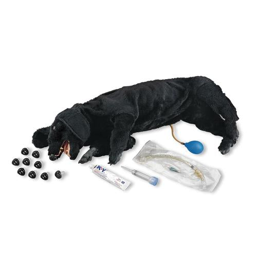 Basal Sanitær HLR Hund