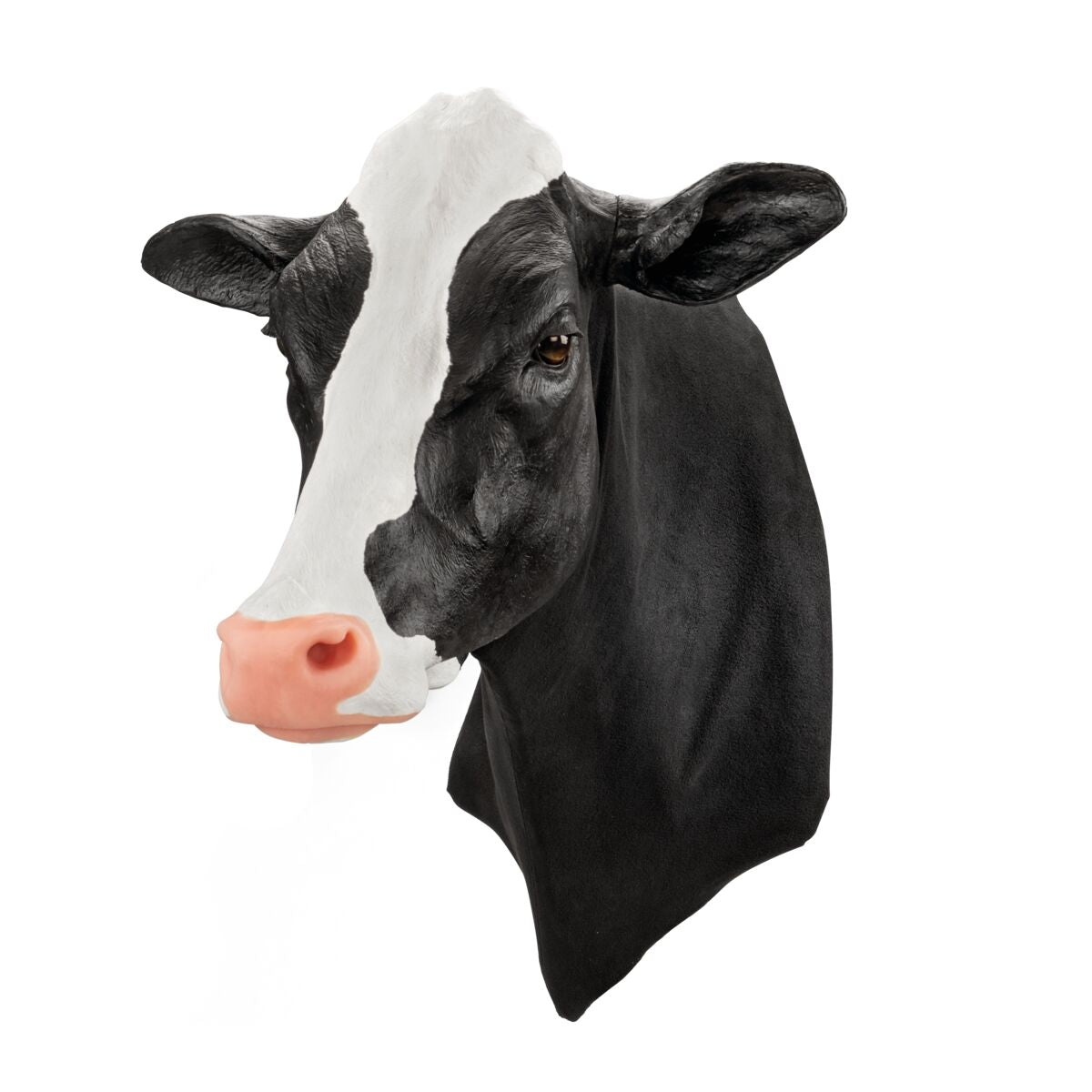 Holstein Venepunktur og Intramuskulær Injektionsmodel