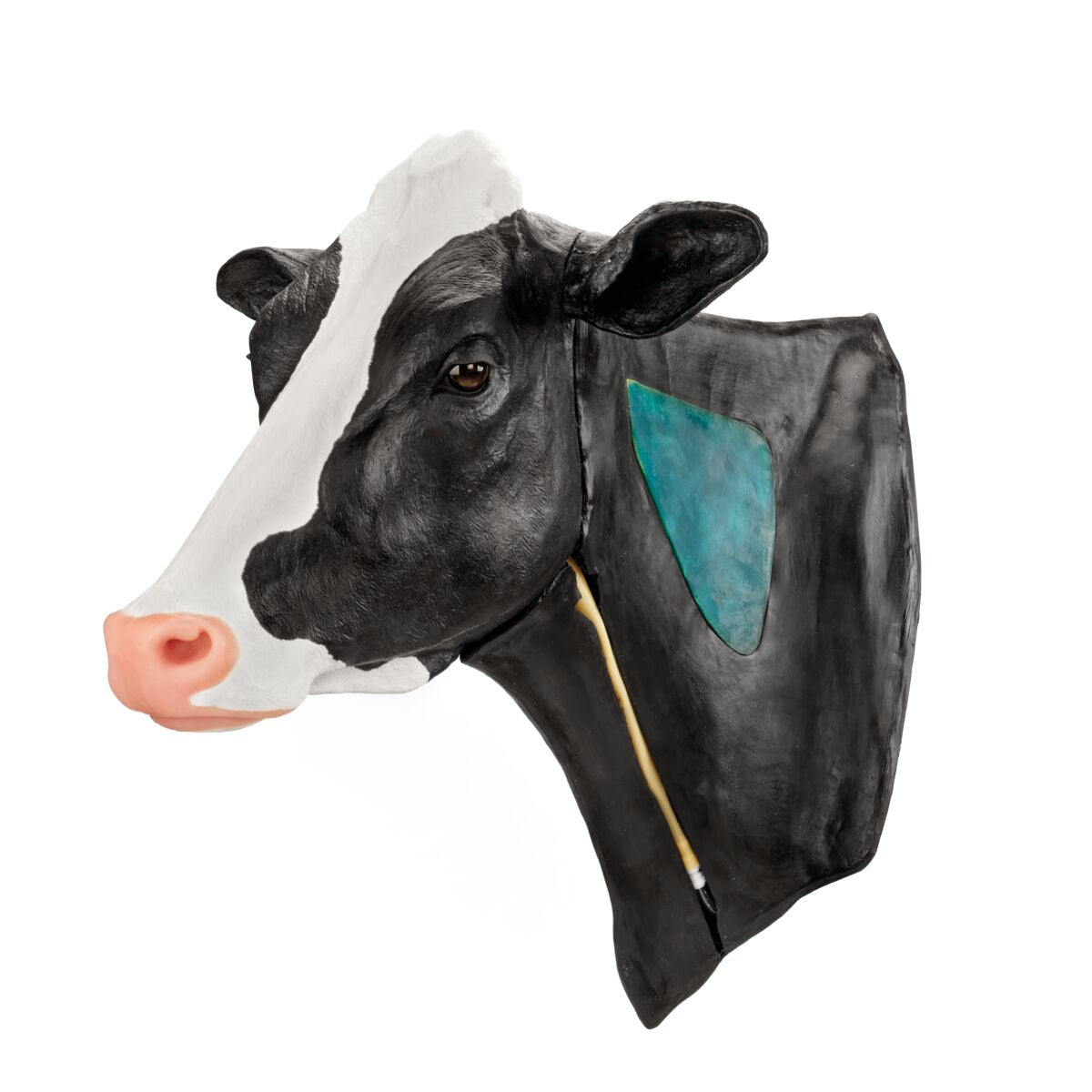 Holstein Venepunktur og Intramuskulær Injektionsmodel