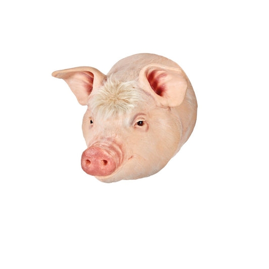 Boltpistol Træningsmodel - Svin