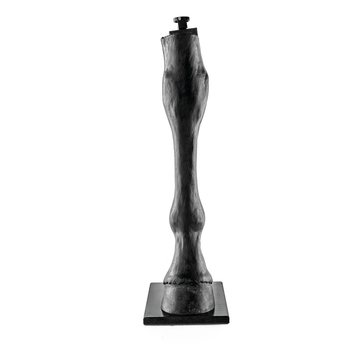 Hesteben til Radiologi med Stativ