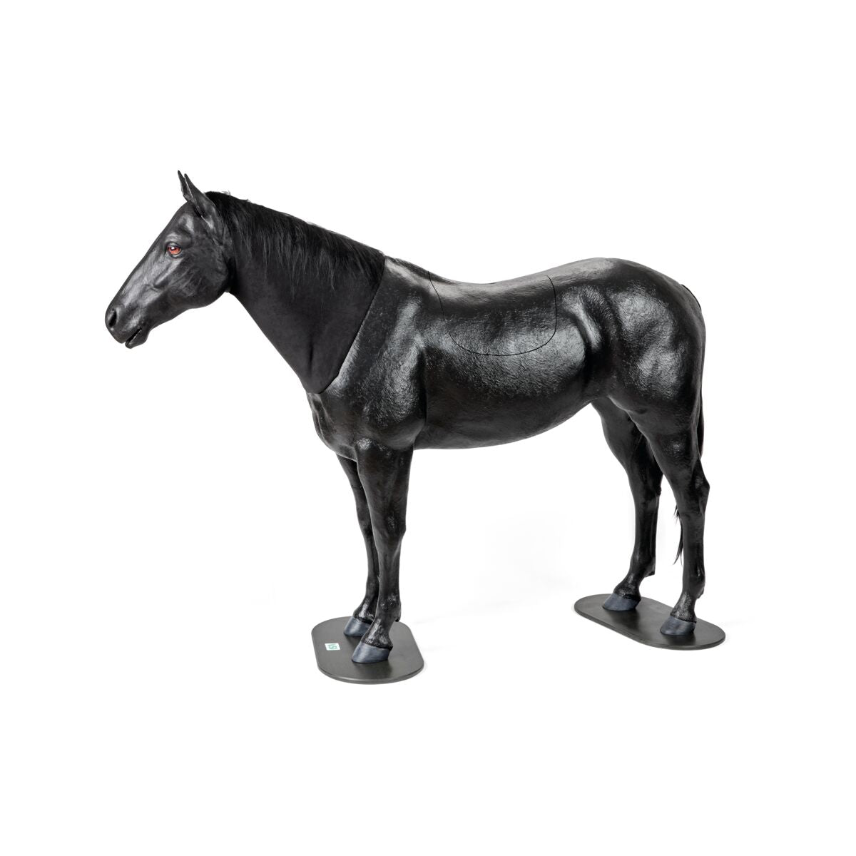 Equine Palpation Colic Simulator with Stand