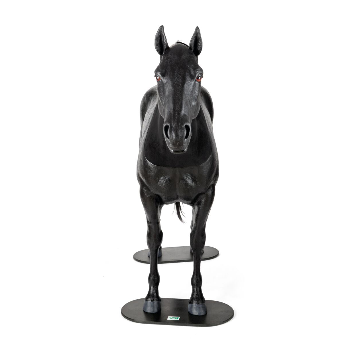 Equine Palpation Colic Simulator with Stand