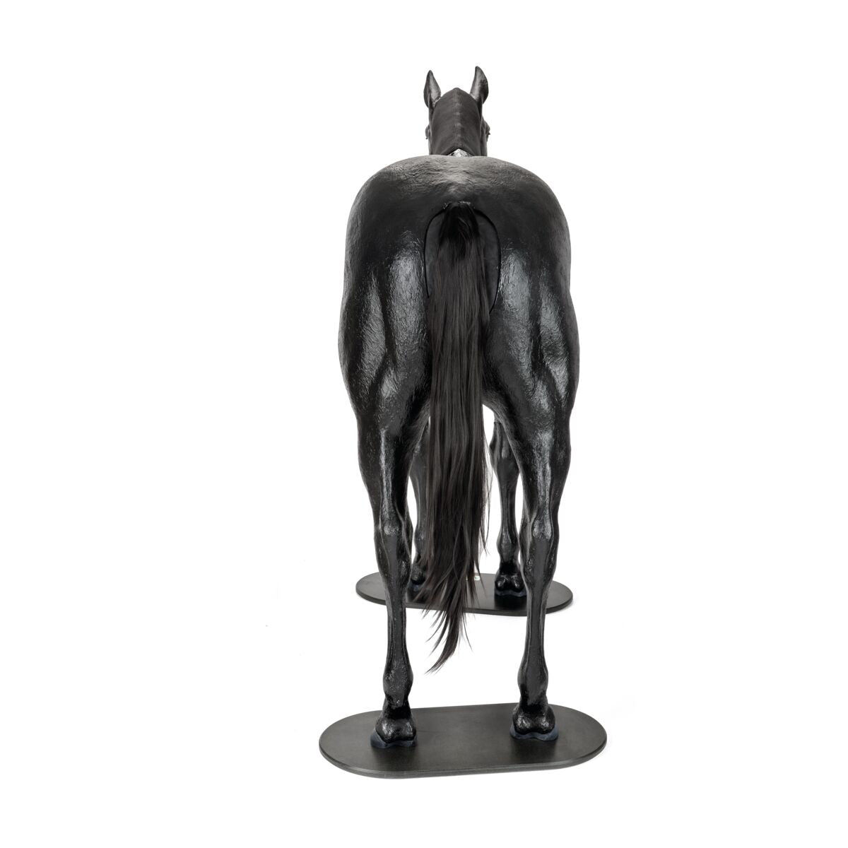 Equine Palpation Colic Simulator with Stand