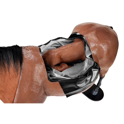 Heste Dystocia Simulator med Heste Nasogastrisk