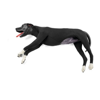 Hunde HLR Simulator