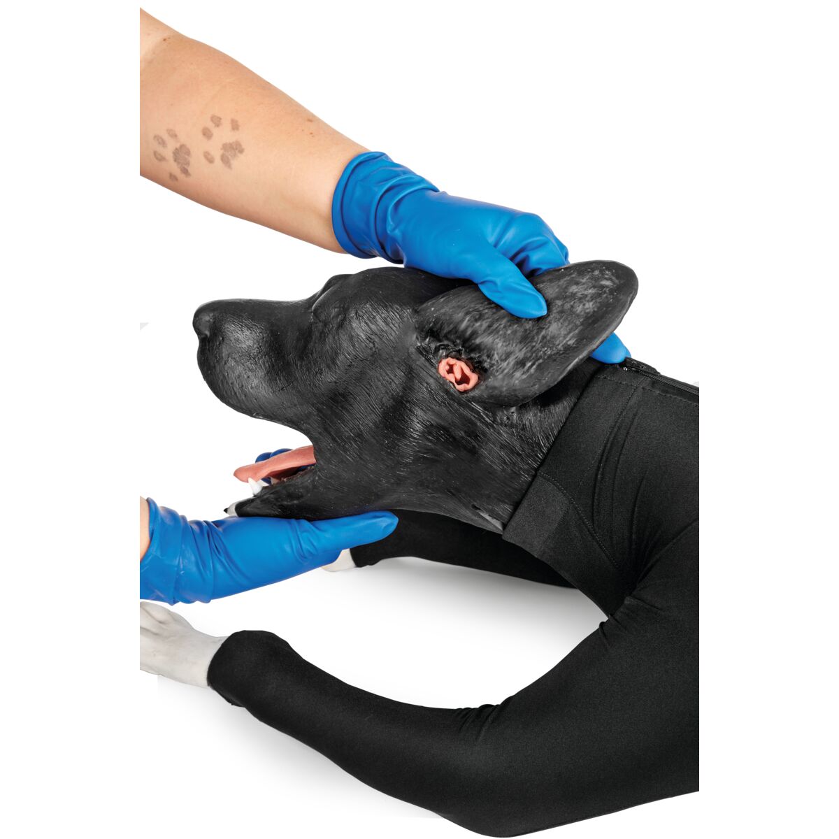 Hunde HLR Simulator
