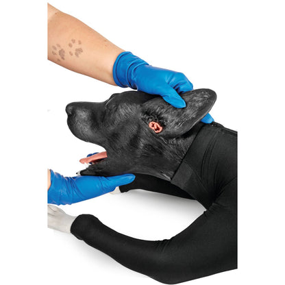 Hunde HLR Simulator