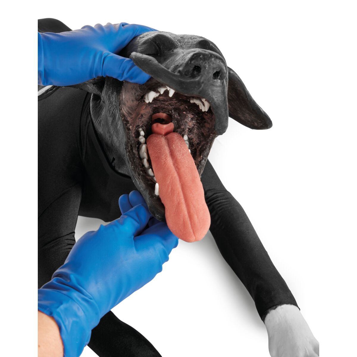 Hunde HLR Simulator