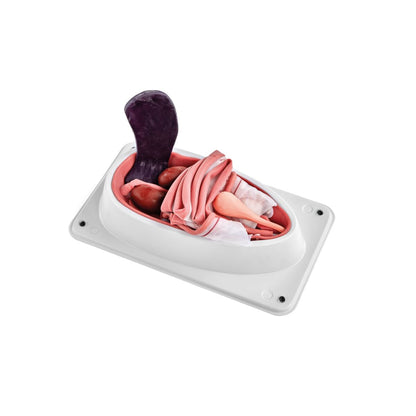 Hunde Steriliserings Simulator
