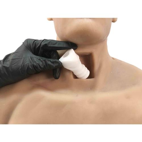 Trachea for 6in1