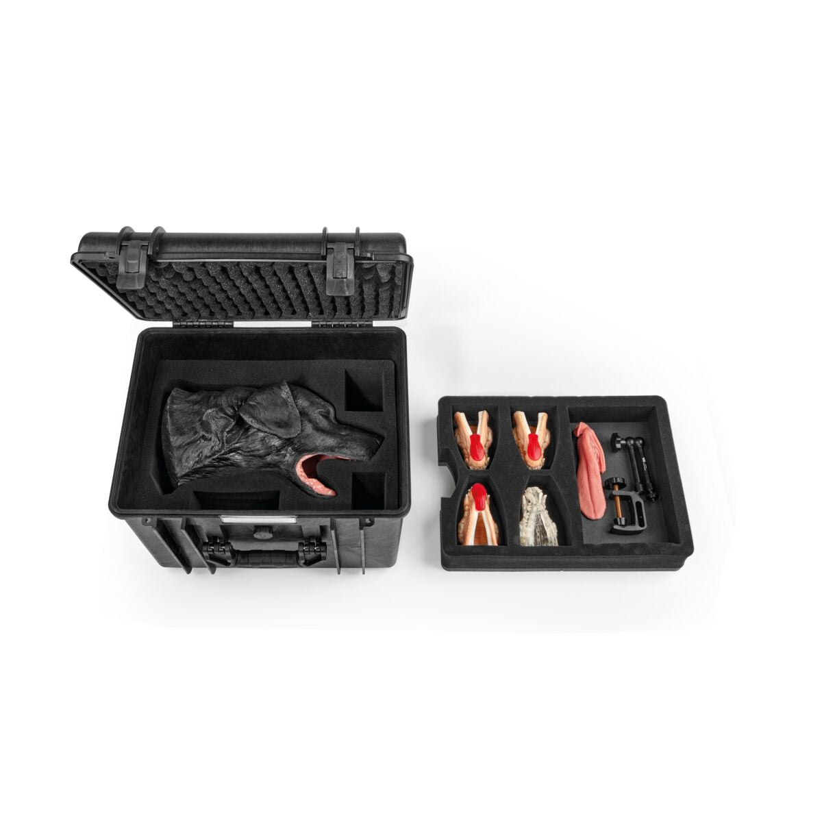 Hund Dental Kirurgisk Paket, Brun