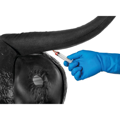 Hereford Avanceret Bovine Theriogenology Model, Sort