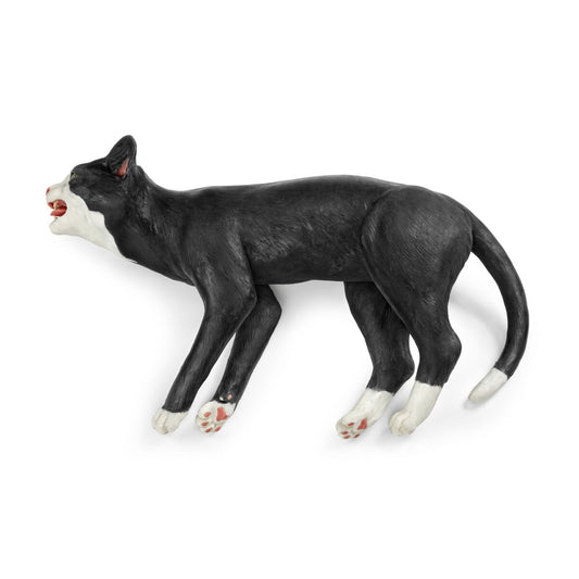 Katte Træningssimulator