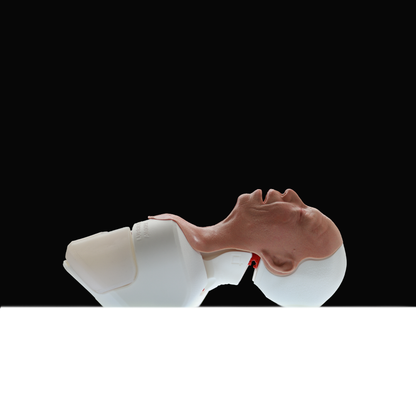 Airway Management Trainer V2 Decent