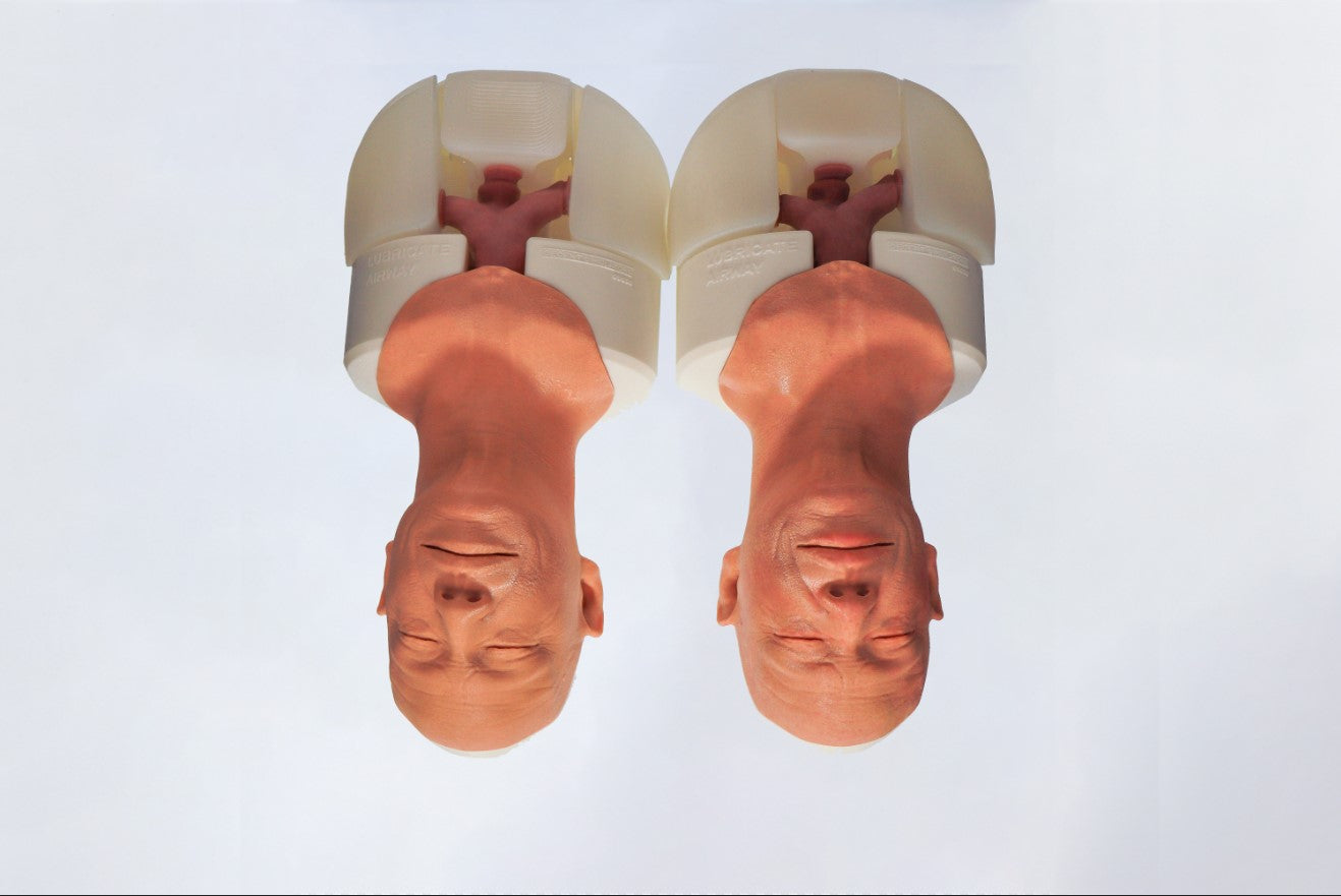 Airway Management Trainer V2 Decent