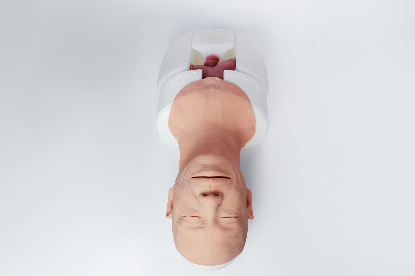Airway Management Trainer V2 Decent