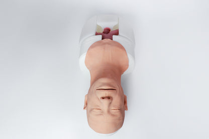 Airway Management Trainer V2 Decent