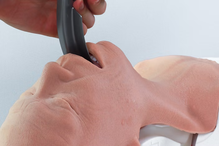 Airway Management Trainer V2 Decent