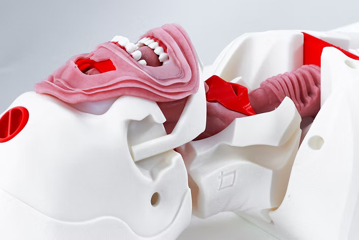Airway Management Trainer V2 Decent