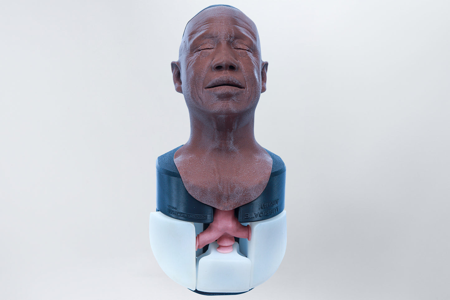 Airway Management Trainer V2 Decent