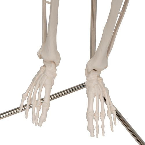 Shorty Mini Skelet 94 cm