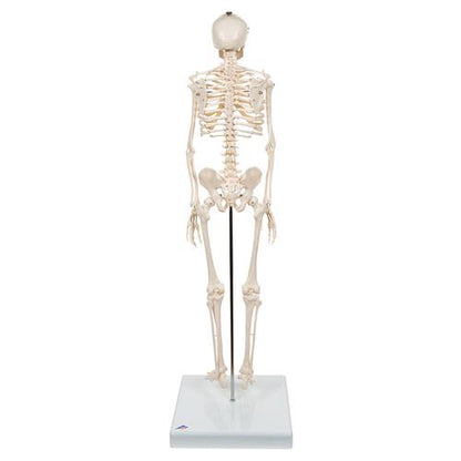 Shorty Mini Skelet 88 cm
