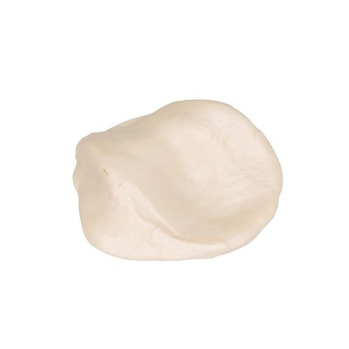 Knæskal (patella)
