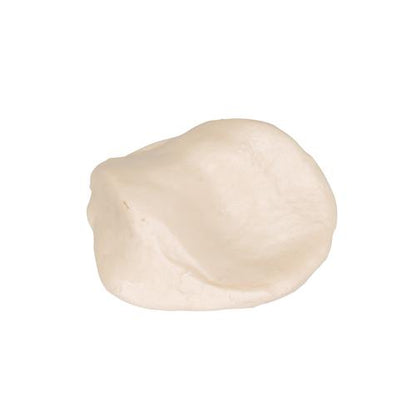 Knæskal (patella)